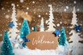 Christmas Trees, Snowflakes, Wooden Background, Label, Text Welcome Royalty Free Stock Photo