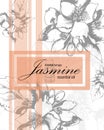 Label for essential oil of jasmine