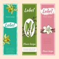 Label, flower frame, perfume signature tag, clothes lingerie. Vector delicate flowers of vanilla, lily
