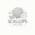 scallop shell label