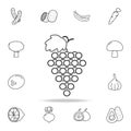 label grapes icon. Set of fruits and vegetables icon. Premium quality graphic design. Signs, outline symbols collection, simple th Royalty Free Stock Photo