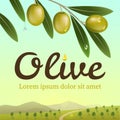 Label of green olives. Realistic olive branch on a background an olive farm. Royalty Free Stock Photo