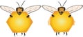 Label, honecomb, honeybee, bee, insect,sweet, summer, healthy, food,