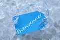 Label On Ice With Bienvenue Means Welcome