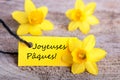 Label with Joyeuses PÃ¯Â¿Â½ques