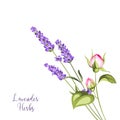 Label with lavender.