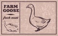 Label of meat products. Chicken. Poultry meat