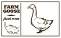 Label of meat products. Goose. Poultry meat