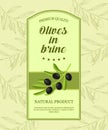 Label for olives in brine with olive branch. Vector illustration.