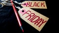 Label paper with the text black friday on a black crumpled background and a red pencil. Shopping, sale concept. Close-up, copy