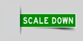 Label green sticker in word scale down that insert under gray background vector