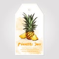 Label or sticker design with pineapple illustration. Homemade pineapple jam. For natural or organic fruit products and health care