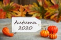 Label With Text Autumn 2020, Pumpkin And Leaves