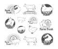 Labels and badges with a butcher's shop. Chicken, Beef, Pork. Vector Illustration