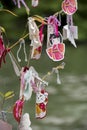 Labels contain the hopes of good wishes, left on the trees of the Japanese garden