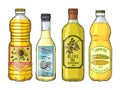 Labels for different oils. Sunflower, olive, corn and coconut. Vector pictures set Royalty Free Stock Photo