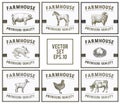 Labels with farm animals. Set templates price tags for shops and markets of organic food. Vector illustration art Royalty Free Stock Photo