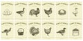 Labels with farm birds and eggs. Set templates price tags for shops and markets of organic food. Vector retro