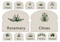 Labels Herbs paper