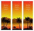 Labels with Palms Royalty Free Stock Photo