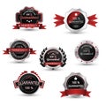 Labels set. Silver guarantee badge, emblem and symbol.