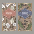 2 labels with tea tree and camphorwood branch color sketch on vintage background.