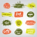 Labels with vegetarian and raw food diet designs. Organic food tags and elements set for meal and drink,cafe, restaurants Royalty Free Stock Photo