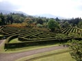 Labirinth garden with montain scenery