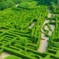 Green labyrinth. Plant maze. Garden. Aerial view of green labyrinth garden Royalty Free Stock Photo