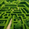 Green labyrinth. Plant maze. Garden. Aerial view of green labyrinth garden