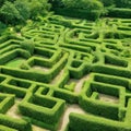 Green labyrinth. Plant maze. Garden. Aerial view of green labyrinth garden Royalty Free Stock Photo