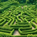 Green labyrinth. Plant maze. Garden. Aerial view of green labyrinth garden Royalty Free Stock Photo