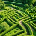 Green labyrinth. Plant maze. Garden. Aerial view of green labyrinth garden