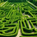 Green labyrinth. Plant maze. Garden. Aerial view of green labyrinth garden Royalty Free Stock Photo