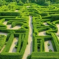 Green labyrinth. Plant maze. Garden. Aerial view of green labyrinth garden