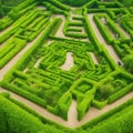 Green labyrinth. Plant maze. Garden. Aerial view of green labyrinth garden