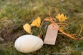 Lable with an easter egg and yellow crocuses