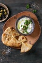 Labneh fresh lebanese cream cheese dip