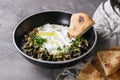 Labneh fresh lebanese cream cheese dip