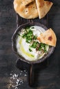 Labneh fresh lebanese cream cheese dip