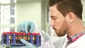 Serious laboratory assistant carefully examines test tubes with assays Royalty Free Stock Photo