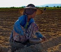 Labor day in peanut fields of Myanmar