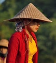 Labor day in peanut fields of Myanmar