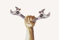 Labor Day photography concept, building tool repair equipment, closeup of the raised fist of a young man