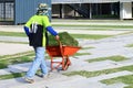 Labor Gardener Worker man, Farmers are Trolley wheeled barrow with grass roll for decoration garden floor, Grass roll on Trolley