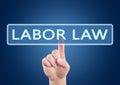 Labor Law text concept