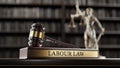 Labor Law: Judge's Gavel as a symbol of legal system, Themis is the goddess of justice and wooden stand with text Royalty Free Stock Photo