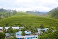 Labor quarters and green tea plantation landscape in nuwara eliya sri Lanka Royalty Free Stock Photo