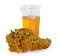 Laboratory analysis of grapes and juice Royalty Free Stock Photo
