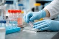 Laboratory Analysis: A Researcher in Blue Gloves Conducting Sample Preparation and Experimentation in a Modern Lab Setting Royalty Free Stock Photo